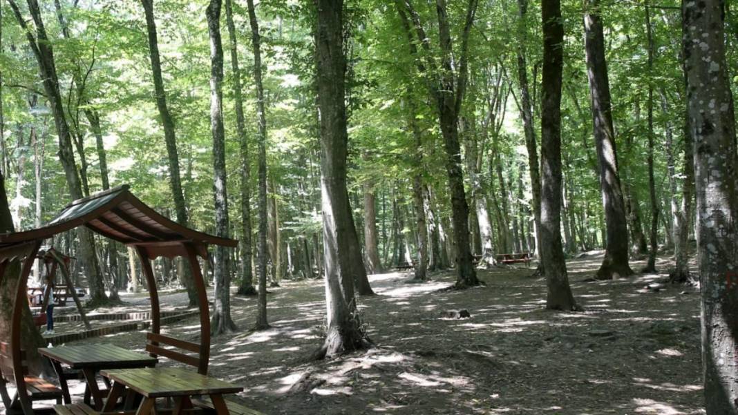 Piknik sezonu başladı! İşte Konya’da hafta sonu kaçamağı yapabileceğiniz yerler 5